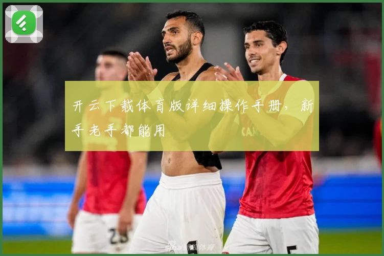 开云下载体育版详细操作手册，新手老手都能用
