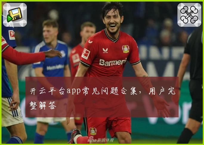 开云平台app常见问题合集，用户完整解答