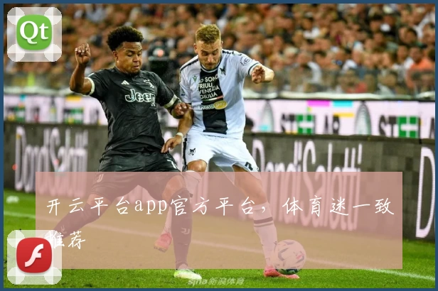 开云平台app官方平台，体育迷一致推荐